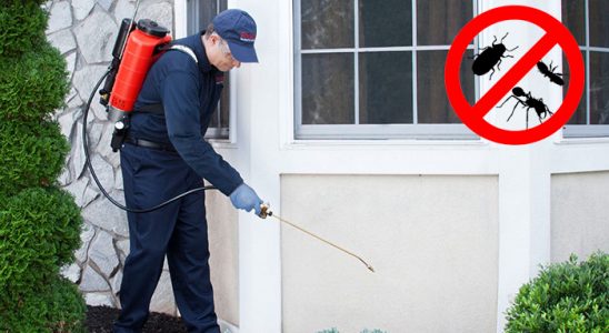 Kurtalan Hamam Böceği İlaçlama böcek ilaçlama ve haşere kontrolü — ilaclama-tr.com